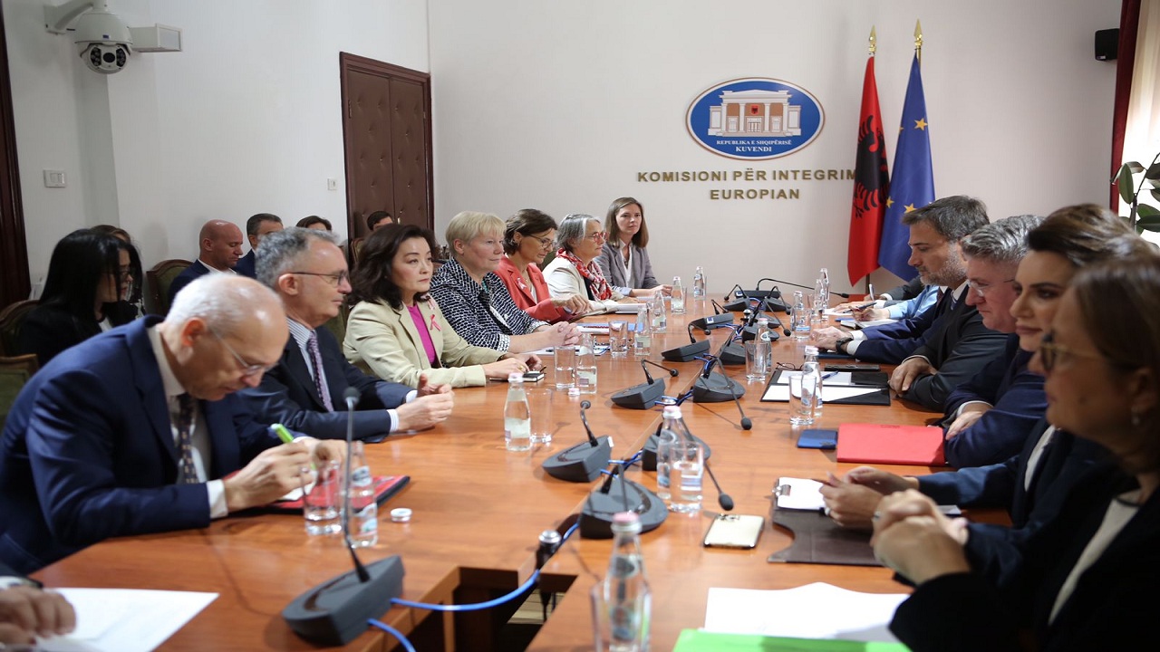Reforma territoriale/ Ambasadorja Kim dhe diplomatët e huaj takim me deputetët e PD-së